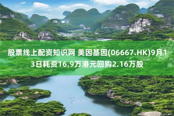 股票线上配资知识网 美因基因(06667.HK)9月13日耗资16.9万港元回购2.16万股