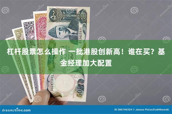 杠杆股票怎么操作 一批港股创新高！谁在买？基金经理加大配置
