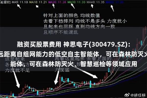 融资买股票费用 神思电子(300479.SZ)：推出具备大算力且携带远距离自组网能力的低空自主智能体，可在森林防灭火、智慧巡检等领域应用