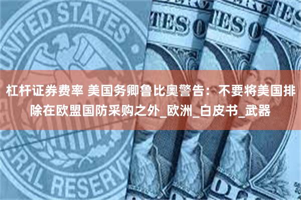 杠杆证券费率 美国务卿鲁比奥警告：不要将美国排除在欧盟国防采购之外_欧洲_白皮书_武器