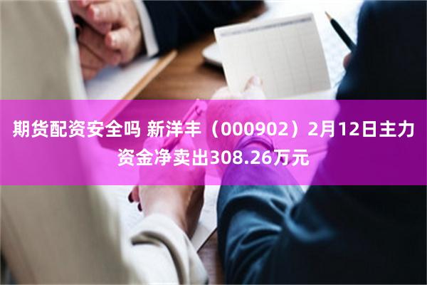 期货配资安全吗 新洋丰（000902）2月12日主力资金净卖出308.26万元