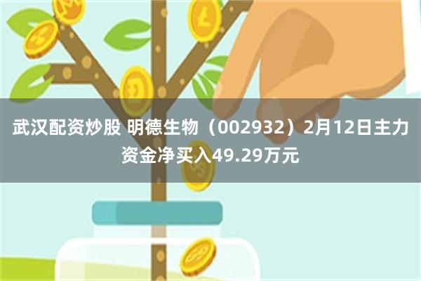 武汉配资炒股 明德生物（002932）2月12日主力资金净买入49.29万元