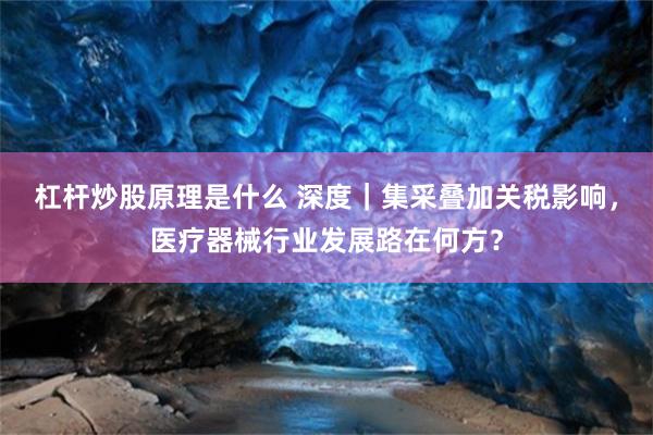 杠杆炒股原理是什么 深度｜集采叠加关税影响，医疗器械行业发展路在何方？