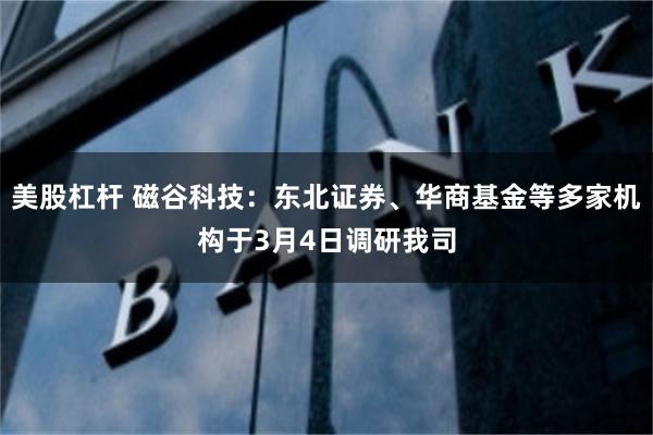 美股杠杆 磁谷科技：东北证券、华商基金等多家机构于3月4日调研我司