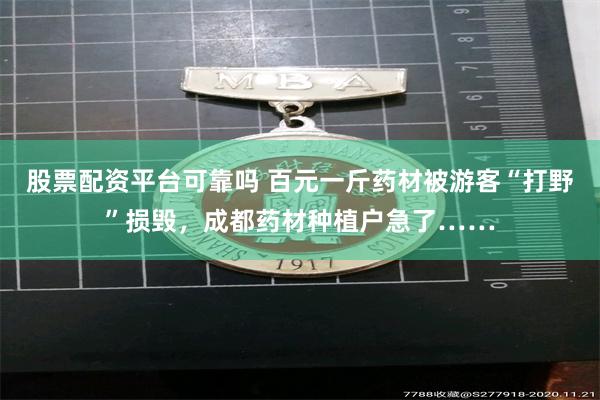 股票配资平台可靠吗 百元一斤药材被游客“打野”损毁，成都药材种植户急了……