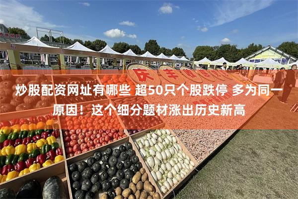 炒股配资网址有哪些 超50只个股跌停 多为同一原因！这个细分题材涨出历史新高