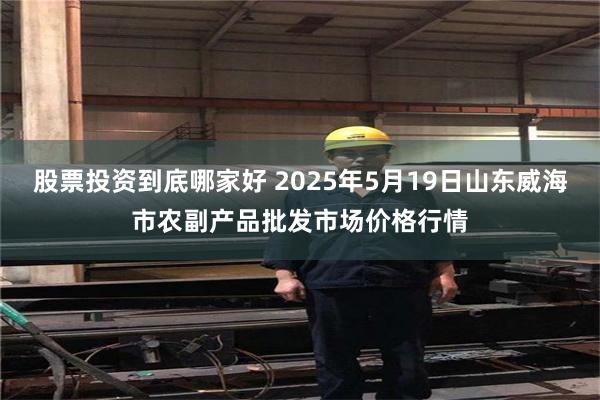 股票投资到底哪家好 2025年5月19日山东威海市农副产品批发市场价格行情