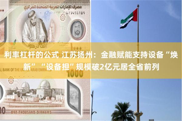 利率杠杆的公式 江苏扬州：金融赋能支持设备“焕新” “设备担”规模破2亿元居全省前列