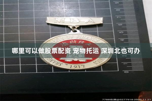 哪里可以做股票配资 宠物托运 深圳北也可办