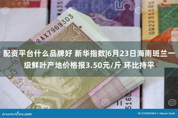 配资平台什么品牌好 新华指数|6月23日海南斑兰一级鲜叶产地价格报3.50元/斤 环比持平